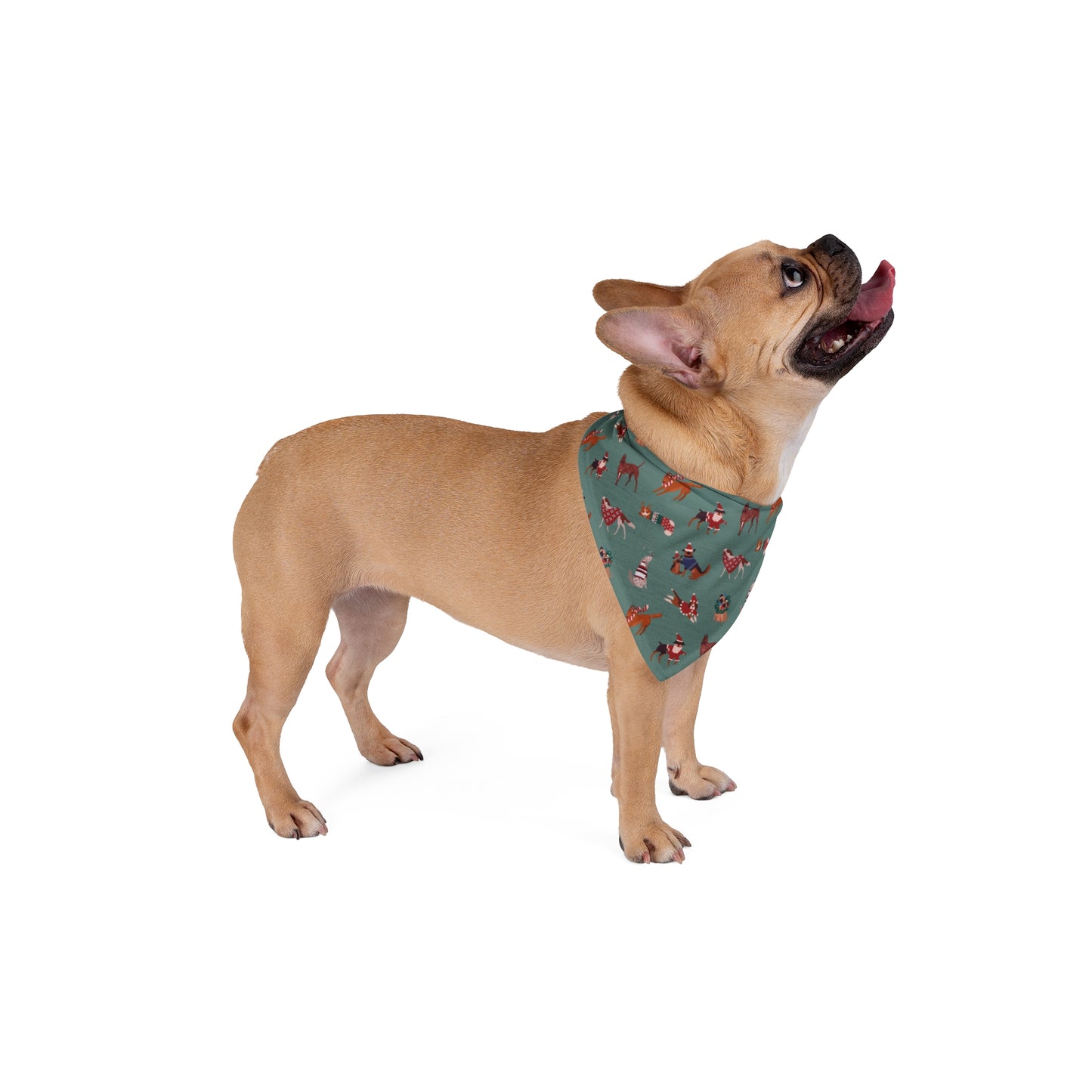 Holiday dog bandana