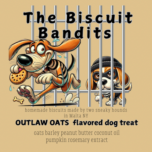 Biscuit Bandits cookies for CDKL5