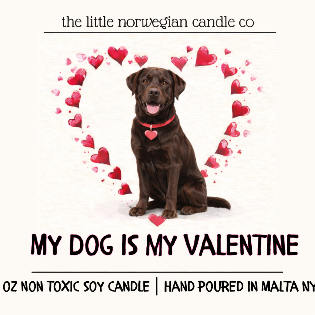 My dog is my Valentine