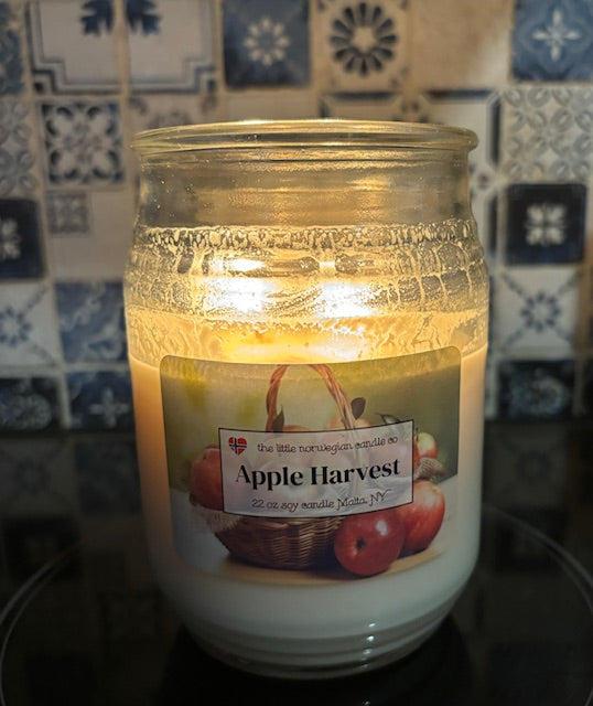 22 OZ DOUBLE WICK JAR
