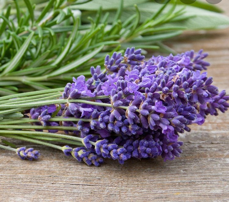 White Sage and Lavender scented soy candle
