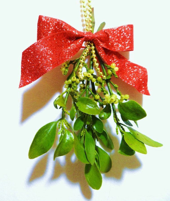 Mistletoe