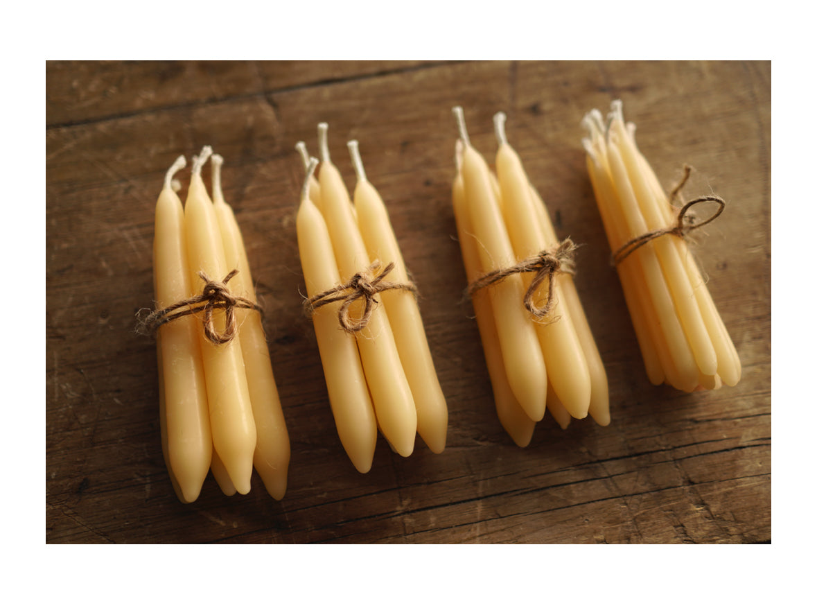 Hand dipped Beeswax candle making at Willow Marsh Farms