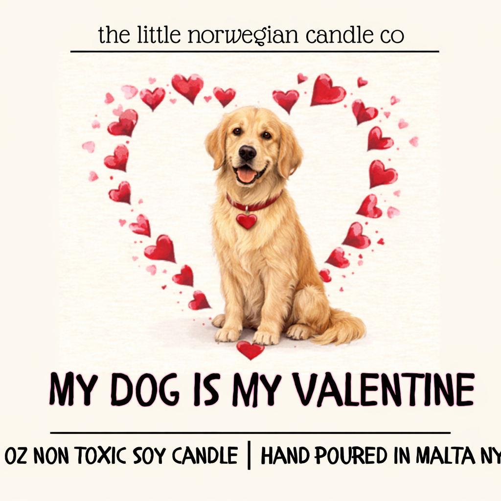 My dog is my Valentine