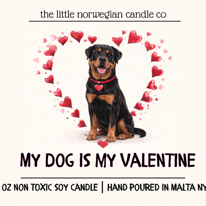 My dog is my Valentine